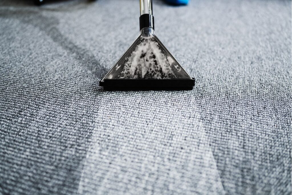 gold coast carpet cleaners