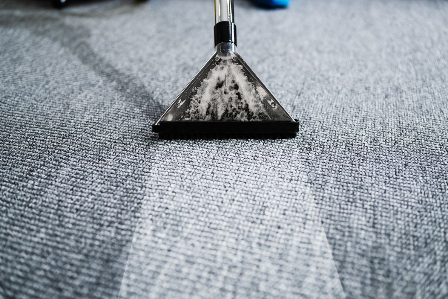 gold coast carpet cleaners