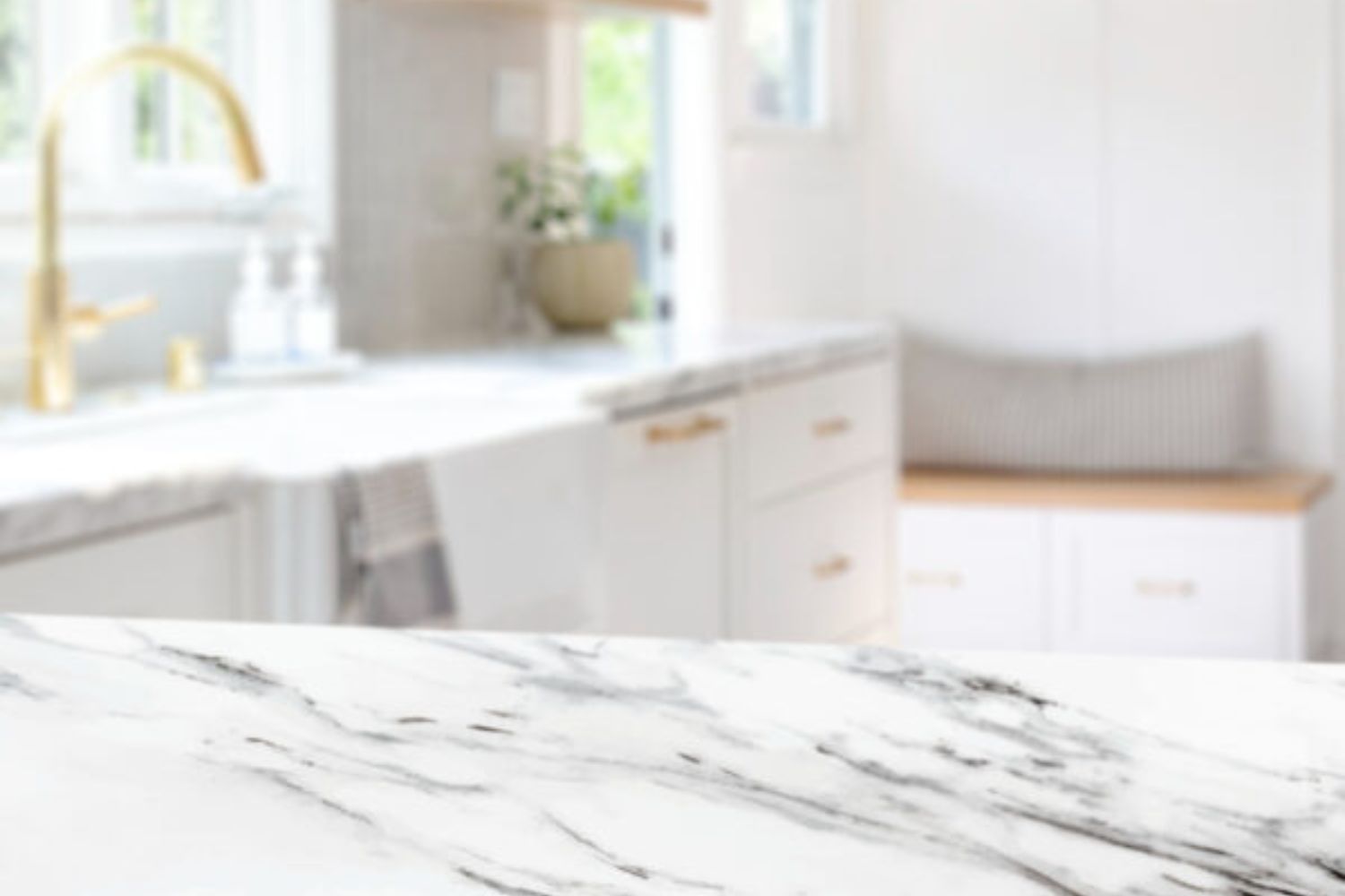 gold coast house cleaning services